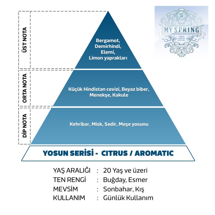 My Spring Erkek Parfüm